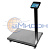 Весы товарные платформенные МЕРА ПВм-3/600-Т (850х650)